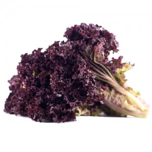 Салат Лолло Росса