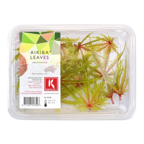 Лист Акиба Aikiba leaves
