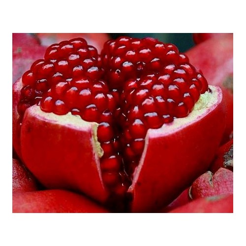 Гранат без косточек