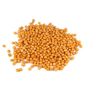 Гірчиця горошок столова