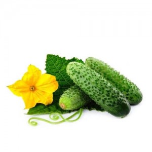 Огірок Паркер