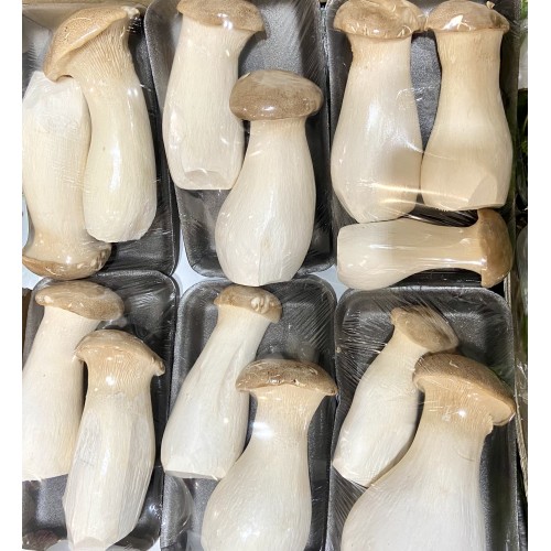 Гриб еринги (эринги)