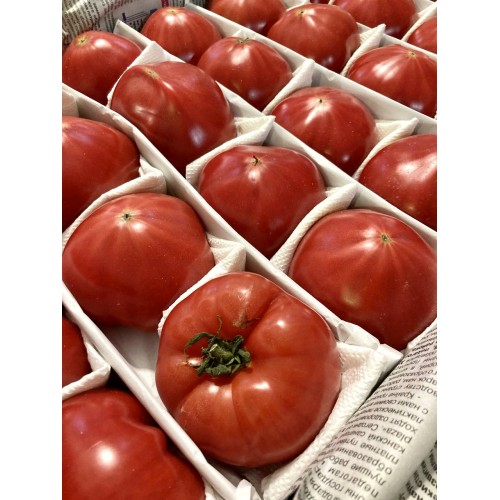 Помідор рожевий Бакинський