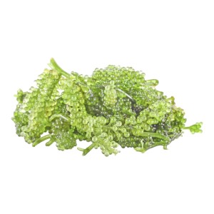Морской виноград Green Caviar