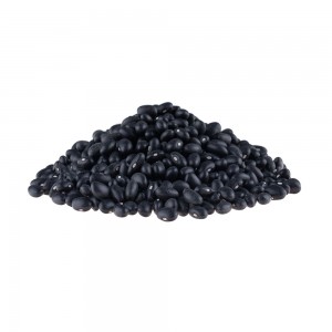 Квасоля чорна