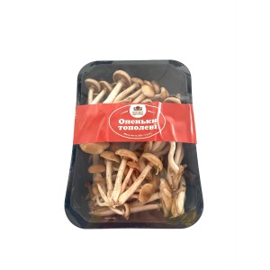 Грибы опята свежие