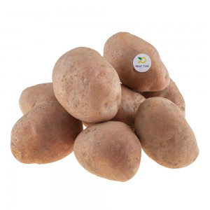 Картопля рожева