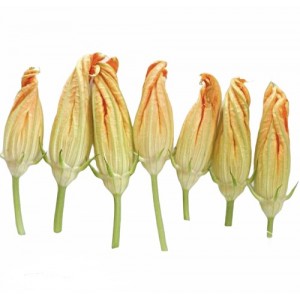 Цветы цукини