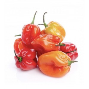 Перець хабанеро