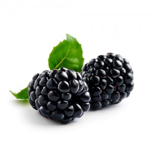 Ожина Україна