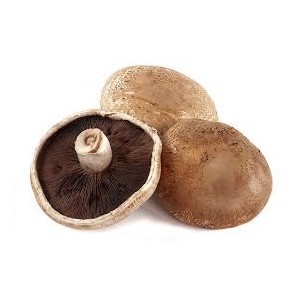 Грибы шампиньоны портобелло