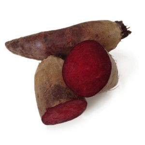 Буряк циліндр