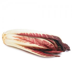 Цикорий красный