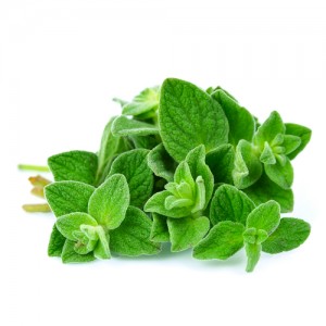 Орегано свежее