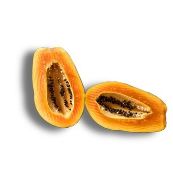 Папайя карликова