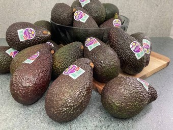 Авокадо Хаас